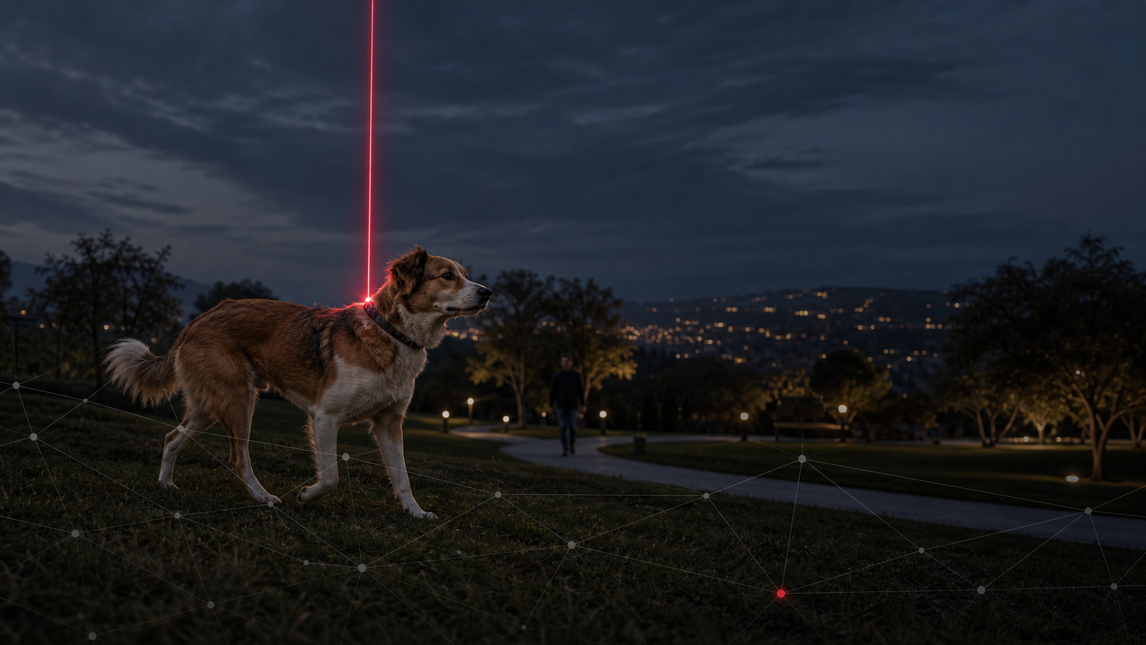 Perro protegido con collar GPS GeoControl en un parque al anochecer.